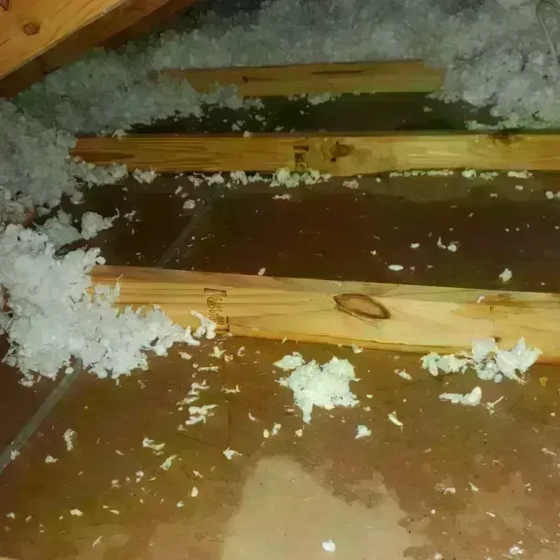 Attic Water Damage in Belton, SC