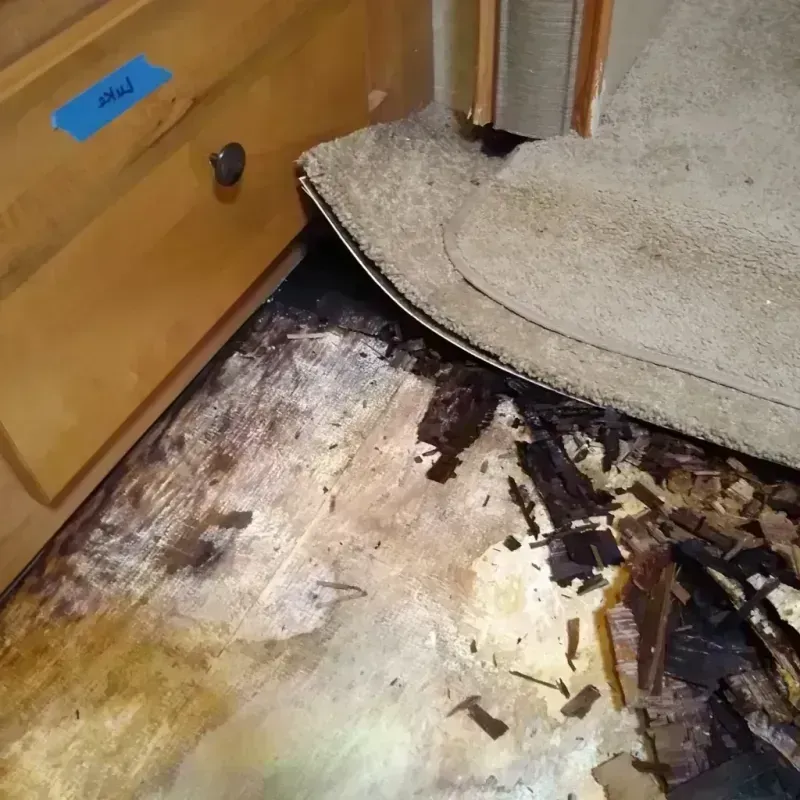 Wood Floor Water Damage in Belton, SC